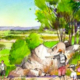 Te Mata Park Revetitation Visual