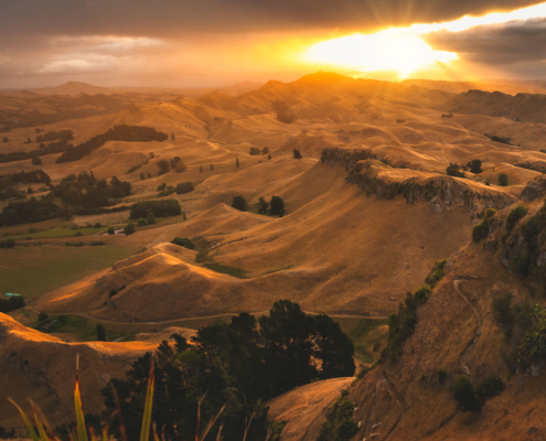 Te Mata Park View from the Peak