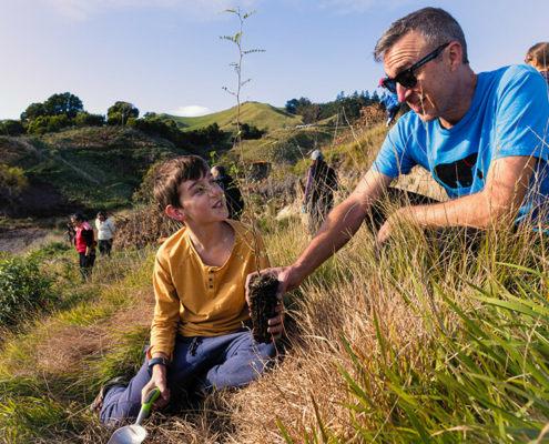 winter-planting-day-te-mata-peak-Havelock-North