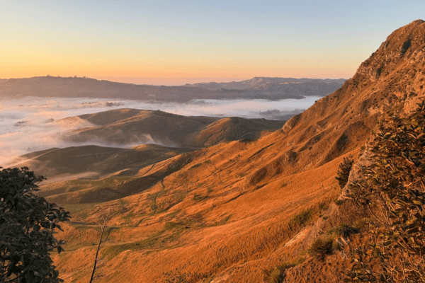 Autumn in Te Mata Park